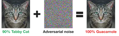 image of an adversarial example