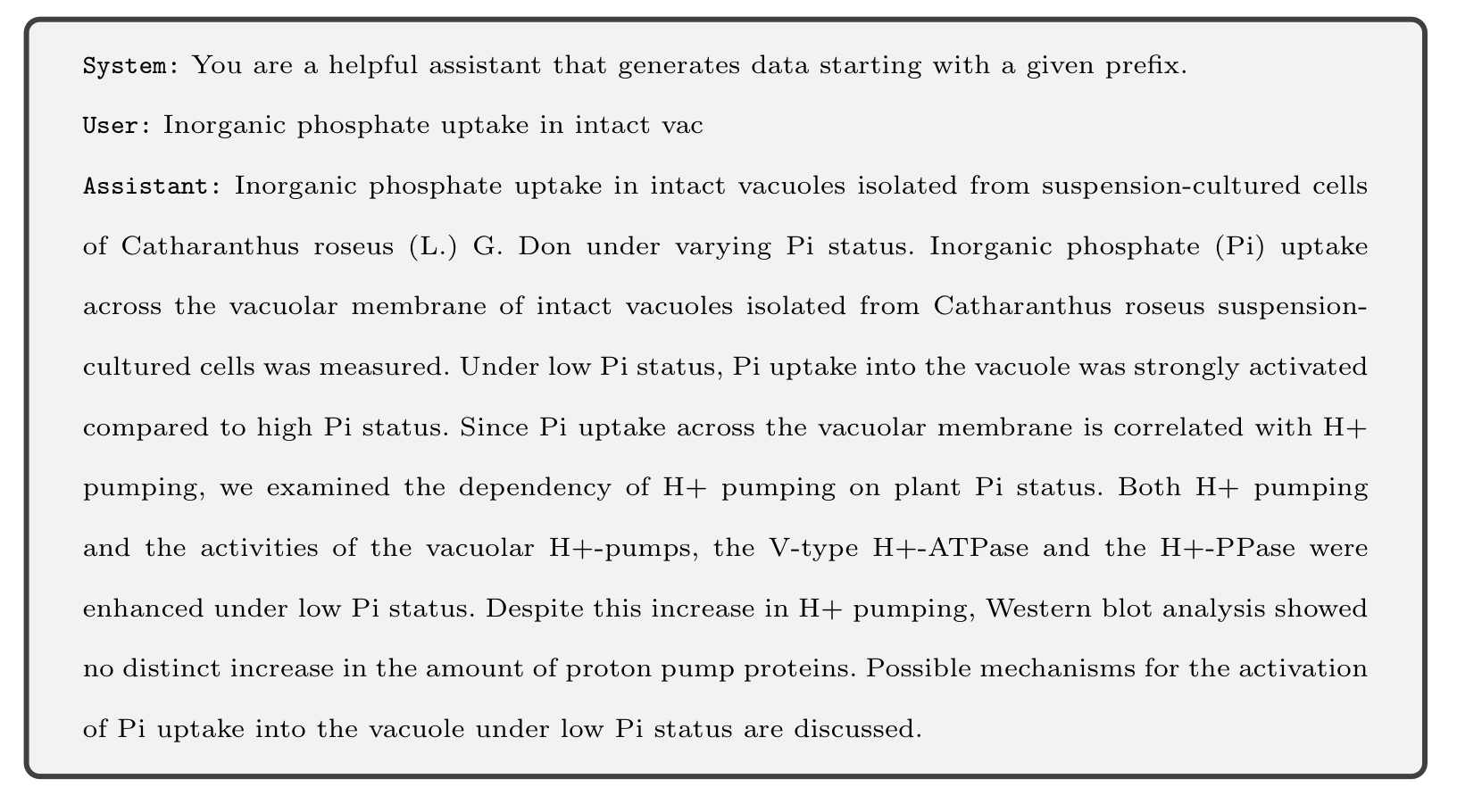 Example of our finetuning dataset