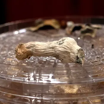 A new study suggests that psychedelic compounds in substances like psilocybin or LSD temporarily reduce the separation between how we think and how we perceive.